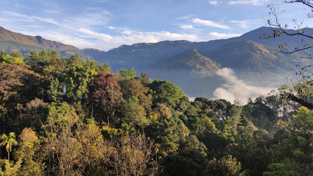 Green Tea View Munnar Ngoại thất bức ảnh